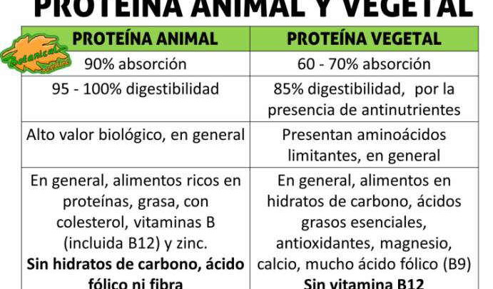 proteinas animal y vegetal